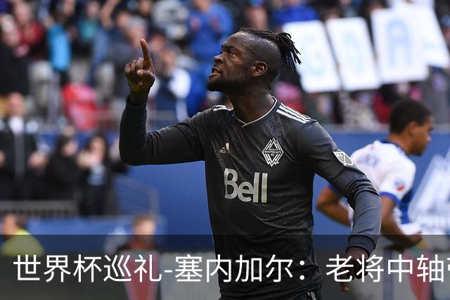 世界杯巡礼-塞内加尔：老将中轴带来安全感，非洲顶流前景可期！